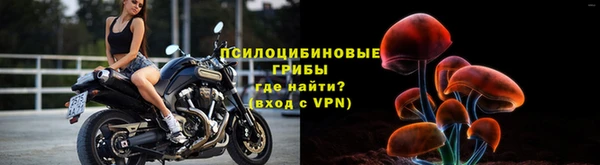 круглые Магас