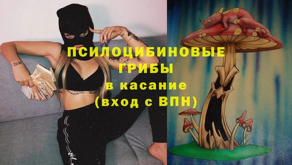 круглые Магас