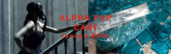 крисы Магадан