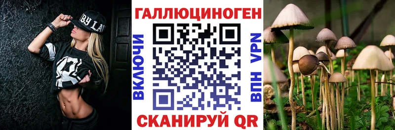 Галлюциногенные грибы Psilocybe МЕГА ССЫЛКА Курильск